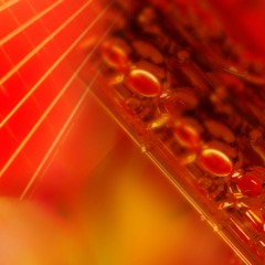 Jean françois Chaulet