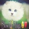 dxnova