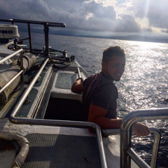 Дмитрий Богословский