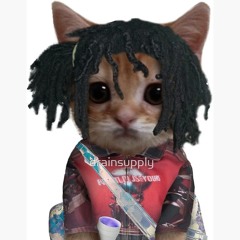 XanLover101