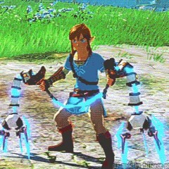 BOTW Link