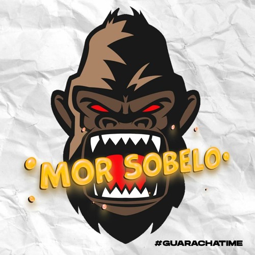 Mor Sobelo  🦍’s avatar