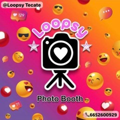 Loopsy Tecate
