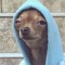 depressed doggo