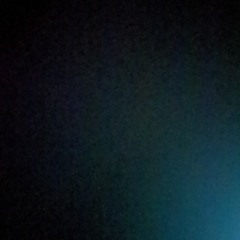 scou_19