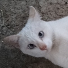 ตรึงใจเองแหละ.