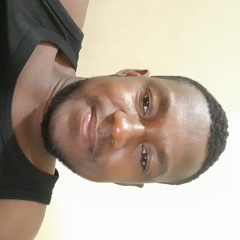 Bibson10