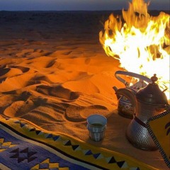 فاطمة النقبي
