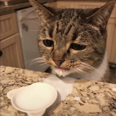 تシ