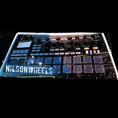 NiLsOnWheeLs