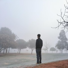 Daniel A.