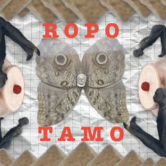 Ropotamo CO