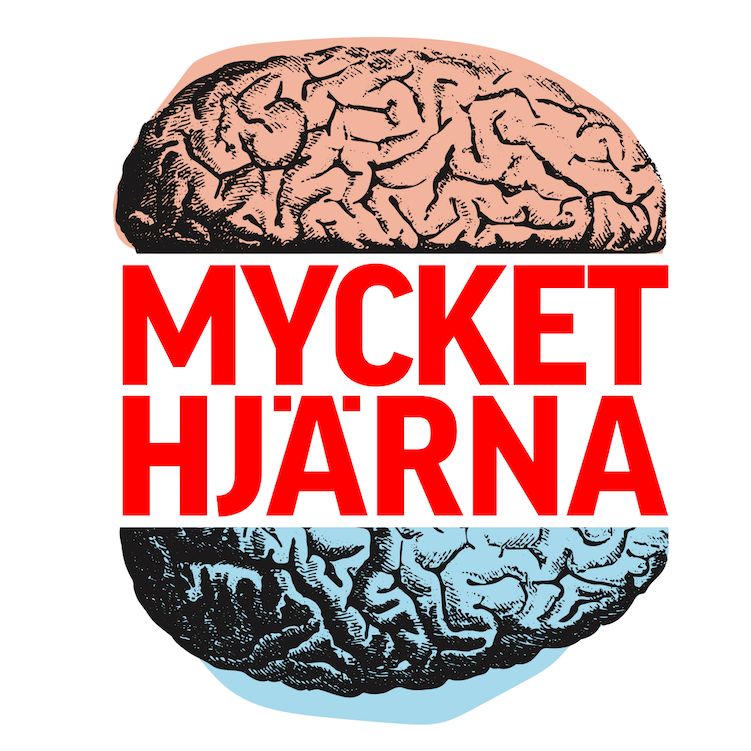 Mycket Hjärna