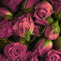 العيد🩷🩷🩷🩷