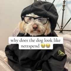 fentsoda