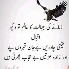 noha