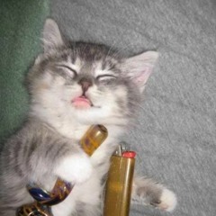 merp