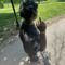 Lor Act