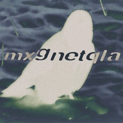 MXGNETQLA