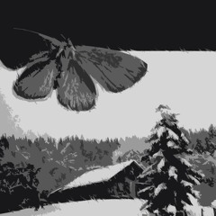 Cold Winds of Sorrow