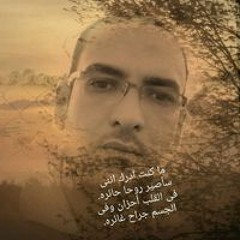 Saber Badawy