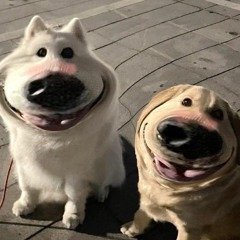 Padoiithongggg