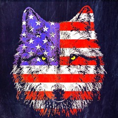 LoNeWolF (Inc.)