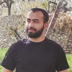 Javed Iqbal Anwar