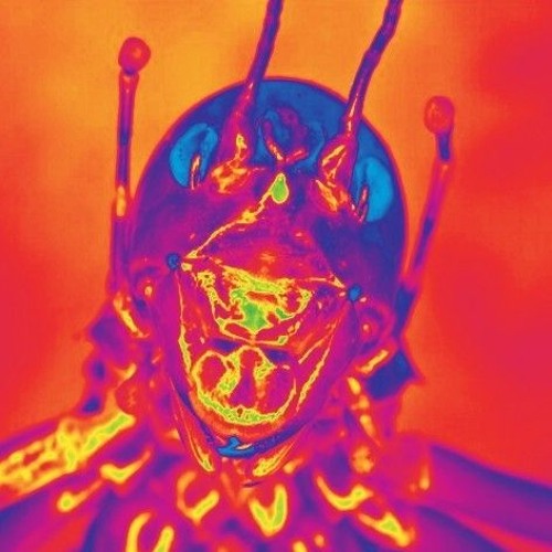 D!3C1ugh7@-"Voidling"(prod.sombre)