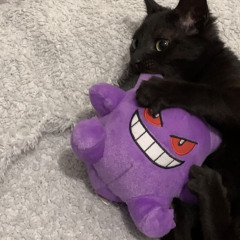 MyleSamurai