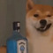 skif