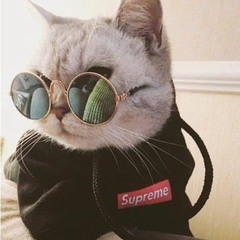 Nguyễn Tiến Thành