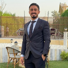 Amr Mahrous 2