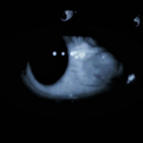 эхо-камера’s avatar