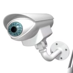 TheRealPlayaNoMoney👥