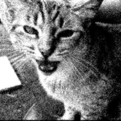 katamari ⋆✴︎˚｡⋆