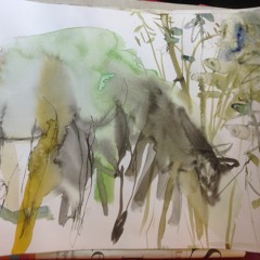 Über Den Tierwegen