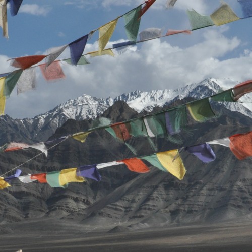 Modern Tibetan Music དེང་རབས་བོད་གཞས།’s avatar