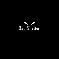 Bat Shelter