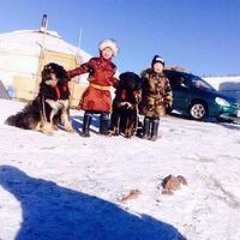 Чинзоо Чинзориг