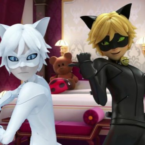 Cat Noir And Cat Blanc’s avatar