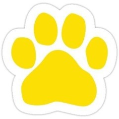 ADORABLE PUPPIES FOR ADOPTION AND REHOMING