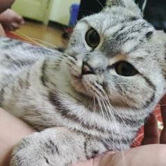 Nguyễn Nam Trường