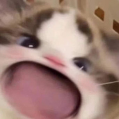 dt