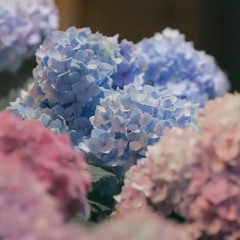 _gwyneth.17th1