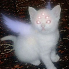 ✩666luty✩