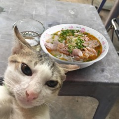Việt Anh