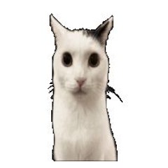 Dr_Right2