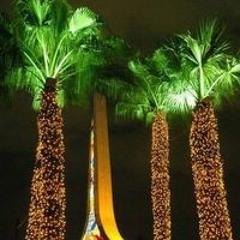 ربيع قباني