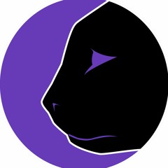 Black Cat Studio